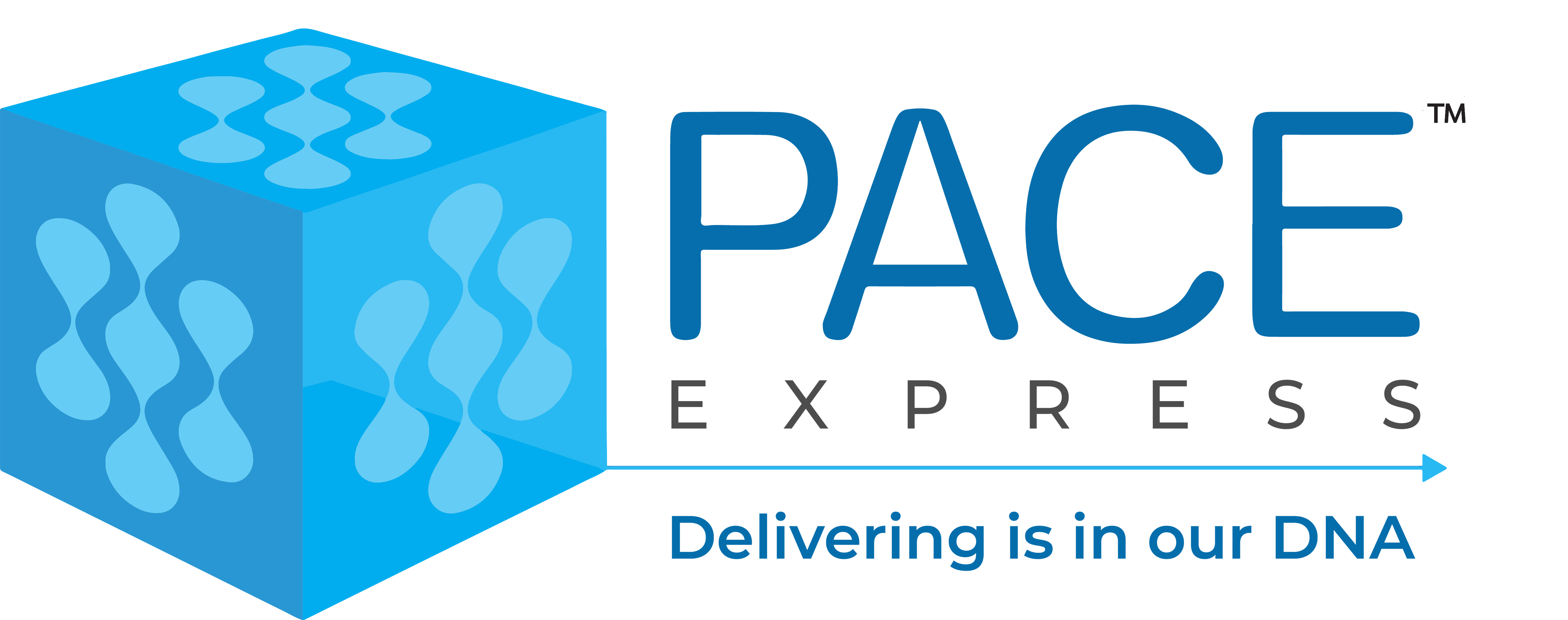 (c) Paceexp.com