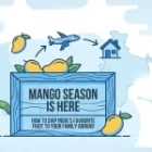 Mango Season is Here: How to Ship India’s Favourite Fruit to Your NRI Family Abroad